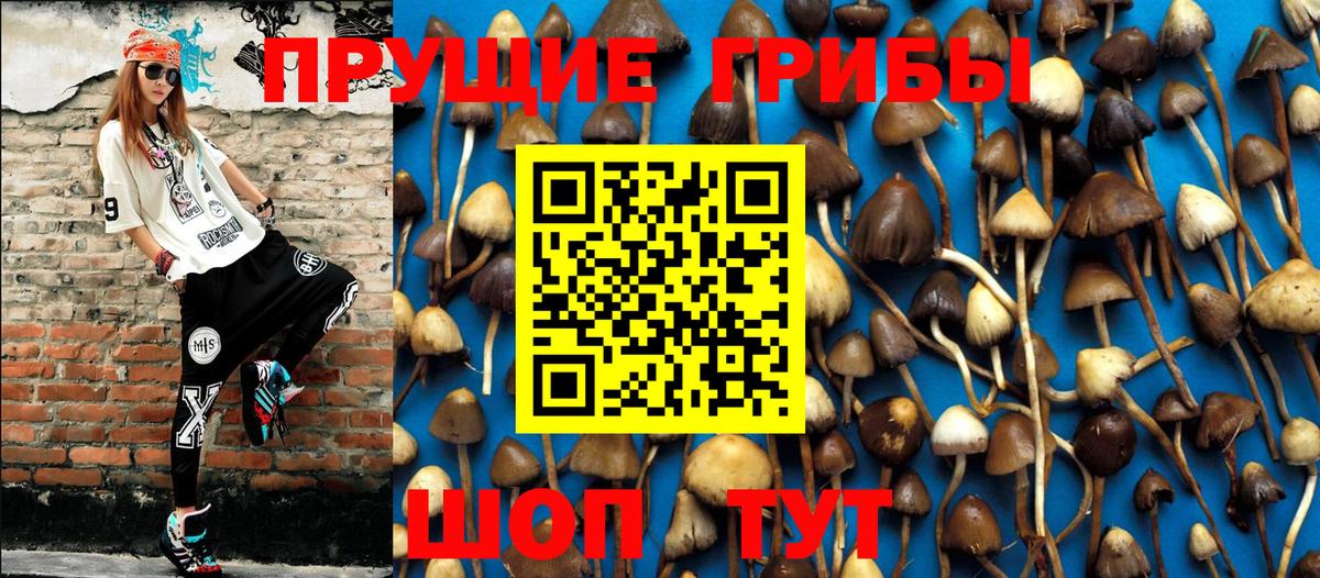 Псилоцибиновые грибы Psilocybine cubensis  Псилоцибиновые грибы мухоморы  Вход с VPN  Еманжелинск 